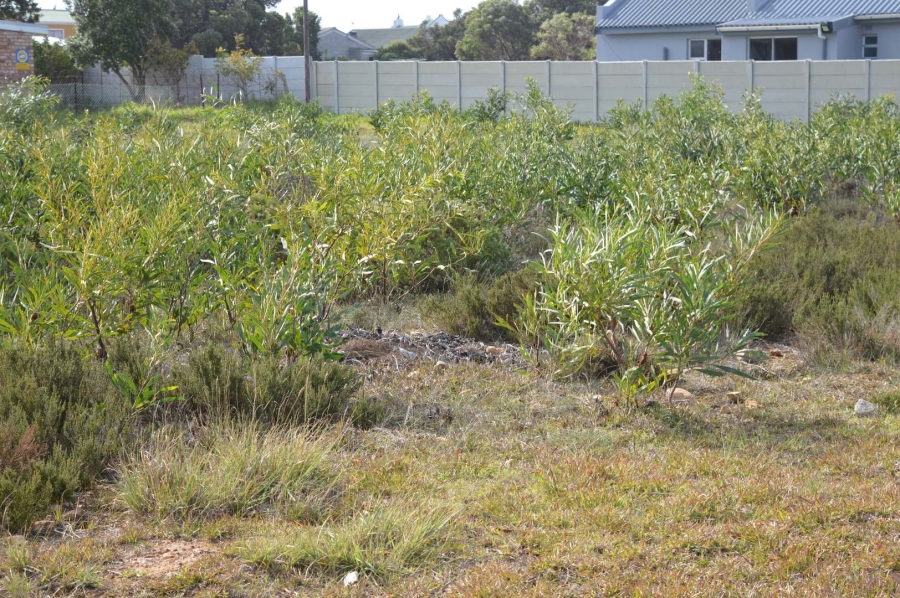 0 Bedroom Property for Sale in Fisherhaven Western Cape